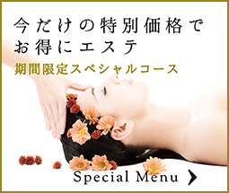 期間限定スペシャルメニュー