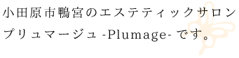 小田原鴨宮のエスティックサロンプリュマージュです。